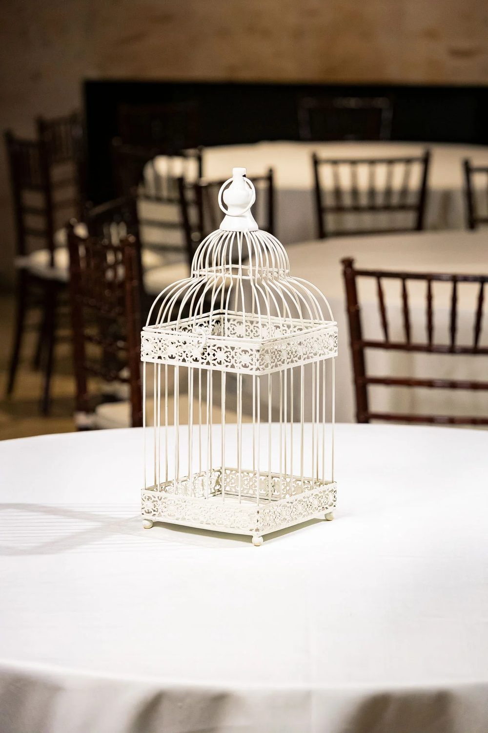 Bird Cage